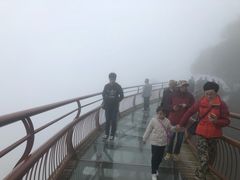 -少华山国家森林公园