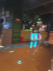 -奇幻丛林(佛罗伦萨小镇店)