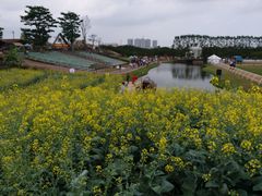 -迪茵湖田家舍生态农场