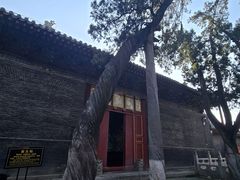 -关林