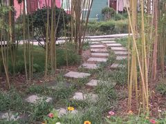 -茯茶镇