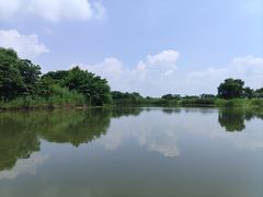 -洪湖生态旅游区