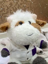 -上海首尔丽格医疗美容医院