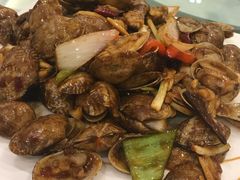 -金蝉食府(维吉奥广场店)