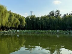 -团结湖公园