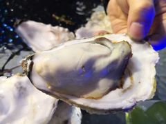 高压锅蒸生蚝大蚝-千岛蚝高压锅生蚝·人参火锅(白云万达店)