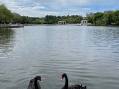 -长春世界雕塑园
