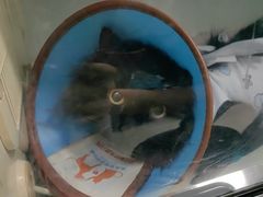 -美美宠物诊疗中心·异宠·骨科(滨江东信分院)