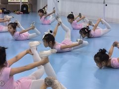 -西安小天鹅艺术团(曲江Alice店)