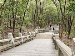 -灵岩山风景区