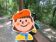 -广州市帽峰山景区