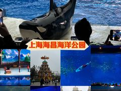 -上海海昌海洋公园