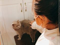 -猫小院猫主题餐厅(三里屯店)
