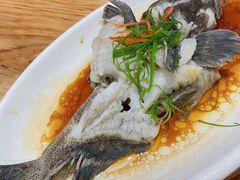 清蒸石斑鱼-金家港海鲜大排档(中山路店)