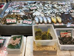 -御唐府海珊瑚主题餐厅