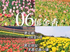 -阿哈湖国家湿地公园