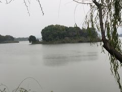 -长广溪湿地公园