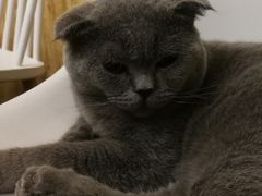 -拾壹cafe·工作室