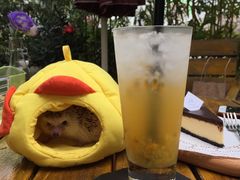 -彳亍咖啡·这里(水湾路店)