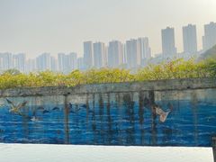 -重庆彩云湖湿地公园