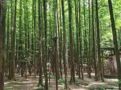 -山王坪喀斯特国家生态公园