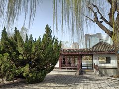-团结湖公园