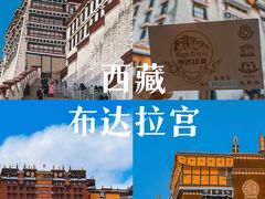 -布达拉宫