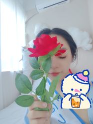 -BELLAREAL新美社