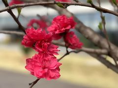 -云里小坐·海泉湾·团建·宴席·下午茶(金堂海泉湾店)