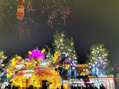 -苏梦江南·淮扬菜(夫子庙店)