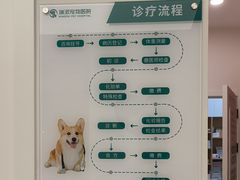 -瑞派康怡24h宠物医院·犬猫医疗中心·微创绝育(瑞景分院)