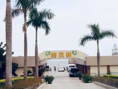 -椰风寨