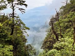 -峨眉山风景名胜区