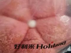-好利来(北美N1店)