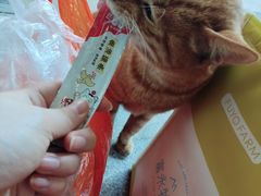 -塔斯汀中国汉堡(徐汇汇京广场店)