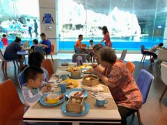 -帝企鹅自助餐厅•儿童岛•真企鹅(长隆企鹅酒店)