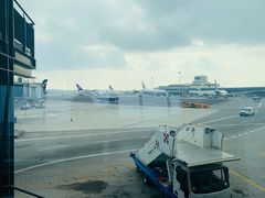 -米兰马尔彭萨国际机场