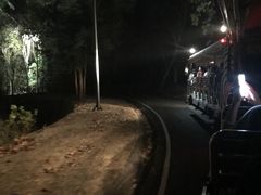 -清迈夜间动物园
