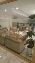 -东英经典SKIN&SPA