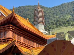 -深圳仙湖植物园