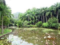 -滴水岩森林公园