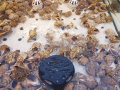 -川骄海鲜自助(河东店)