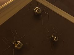 -歌声里K BAR(星湖城店)