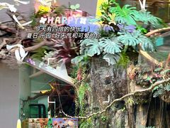 -正佳雨林生态植物园