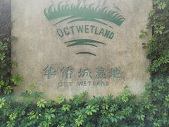 -华侨城湿地公园