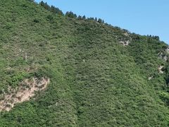 -白帝城·瞿塘峡景区