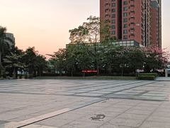 -万科城市广场(厚街店)