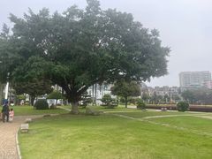 -石炮台公园