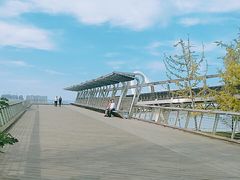 景点-南京眼步行桥