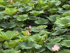 -长春世界雕塑园冰雪艺术天地